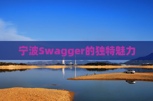 宁波Swagger的独特魅力